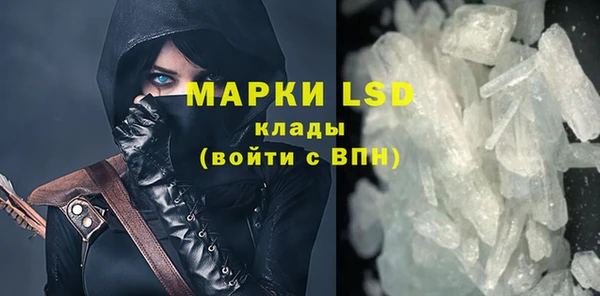 гашик Вязьма