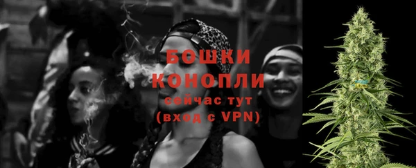 гашик Вязьма