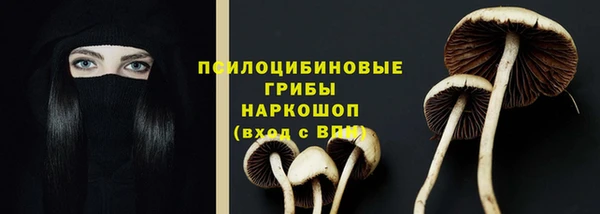 прущие крисы Вязники