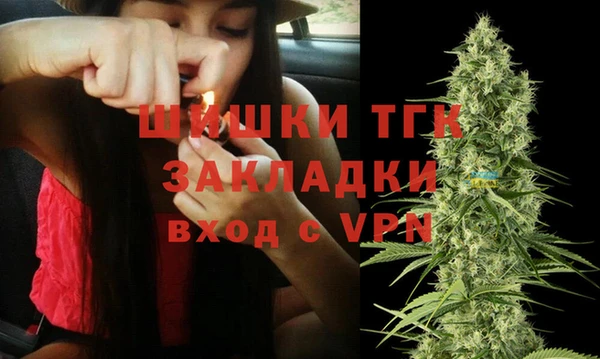 спиды Верея
