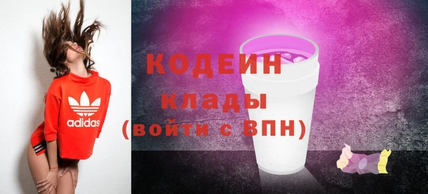 гашик Вязьма