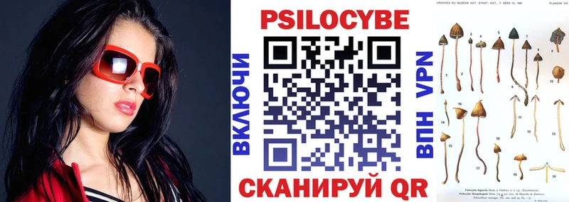 купить   blacksprut tor  Галлюциногенные грибы Psilocybe  Ивдель 
